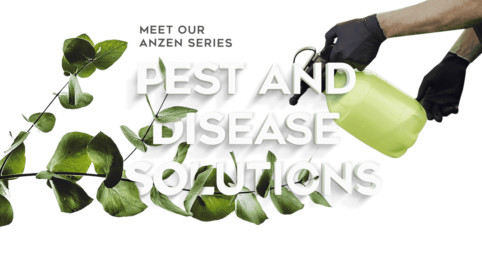 pest-disease-solutions-shintech